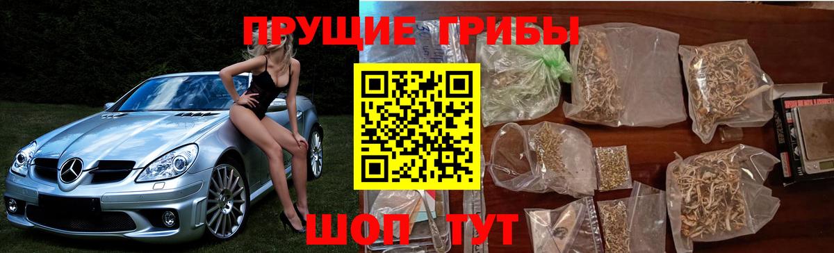 Рузаевка  купить наркотики сайты  Вход с VPN  Псилоцибиновые грибы Psilocybine cubensis  Псилоцибиновые грибы MAGIC MUSHROOMS 